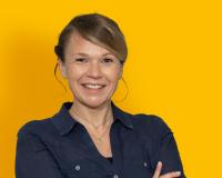 Programmentwicklung KVW Bildung